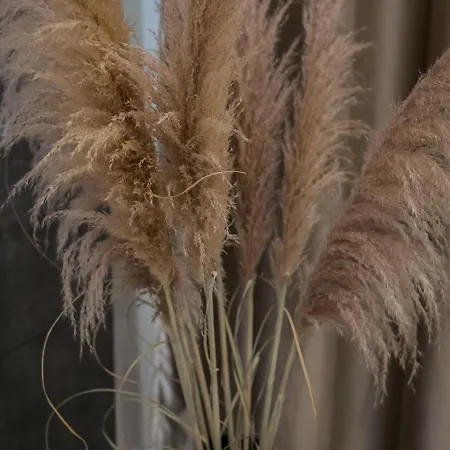 Apartament Emperor's Luxury - Unique Unesco Site Split